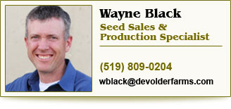 Email Wayne Black